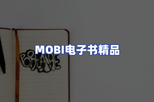 外文电子书产品